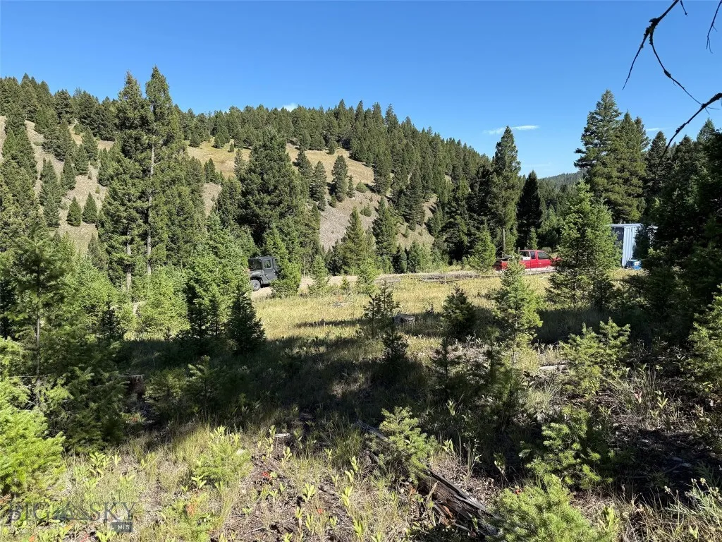 Tbd A&b Chimney Lakes Road, Helmville, Montana, Helmville, Montana 59843, ,Land,For Sale,Tbd A&b Chimney Lakes Road, Helmville, Montana,0,405619