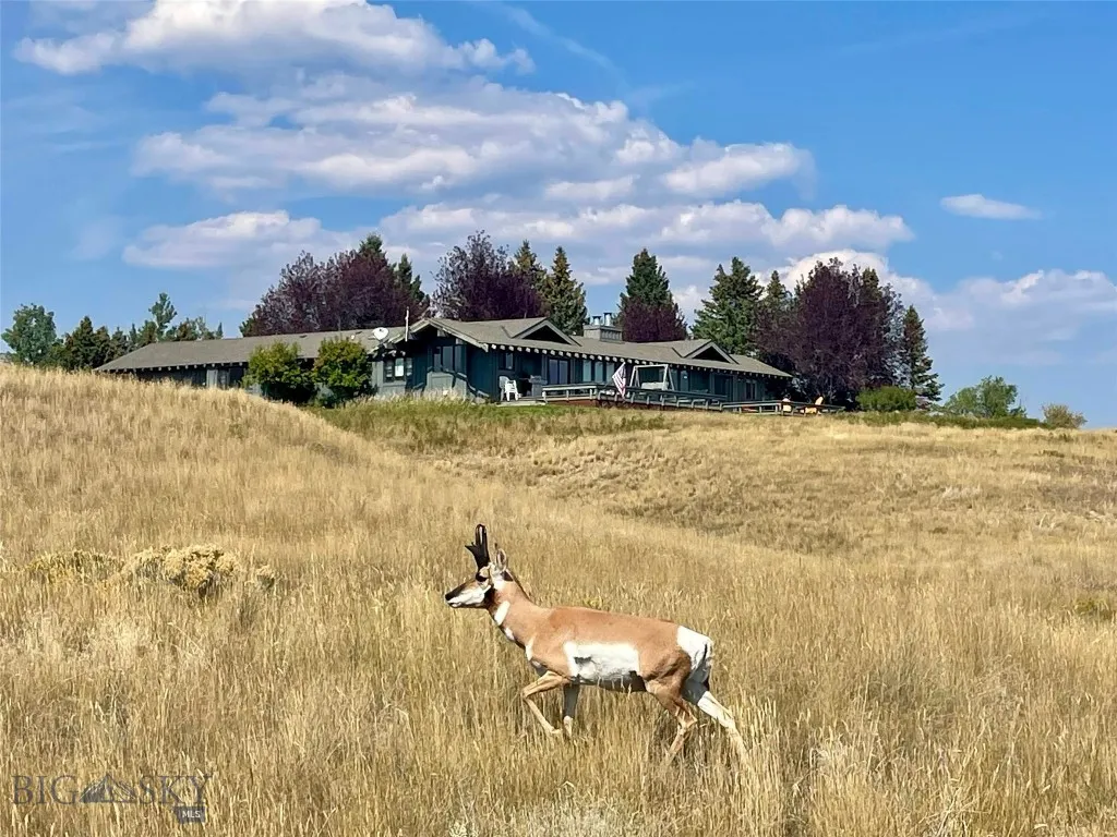 2 Snowcrest Court A, Ennis, Montana 59729, Ennis, Montana 59729, 2 Bedrooms Bedrooms, ,2 BathroomsBathrooms,Residential,For Sale,2 Snowcrest Court A, Ennis, Montana 59729,0,405617