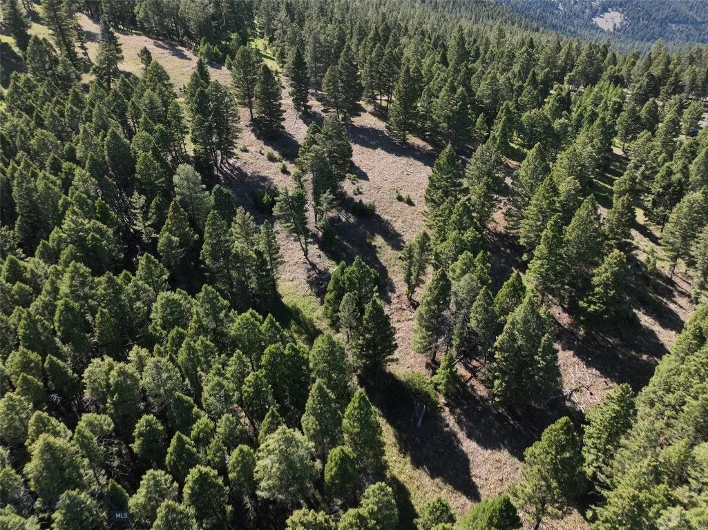 Tbd A Chimney Lakes Road, Helmville, Montana 59843, Helmville, Montana 59843, ,Land,For Sale,Tbd A Chimney Lakes Road, Helmville, Montana 59843,0,405621