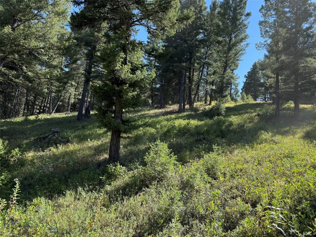 Tbd A Chimney Lakes Road, Helmville, Montana 59843, Helmville, Montana 59843, ,Land,For Sale,Tbd A Chimney Lakes Road, Helmville, Montana 59843,0,405621