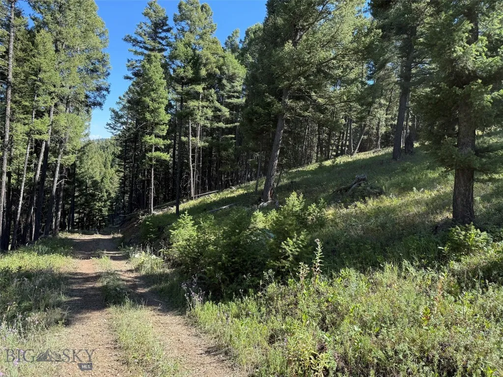 Tbd A Chimney Lakes Road, Helmville, Montana 59843, Helmville, Montana 59843, ,Land,For Sale,Tbd A Chimney Lakes Road, Helmville, Montana 59843,0,405621