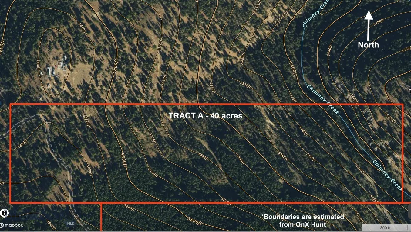 Tbd A Chimney Lakes Road, Helmville, Montana 59843, Helmville, Montana 59843, ,Land,For Sale,Tbd A Chimney Lakes Road, Helmville, Montana 59843,0,405621