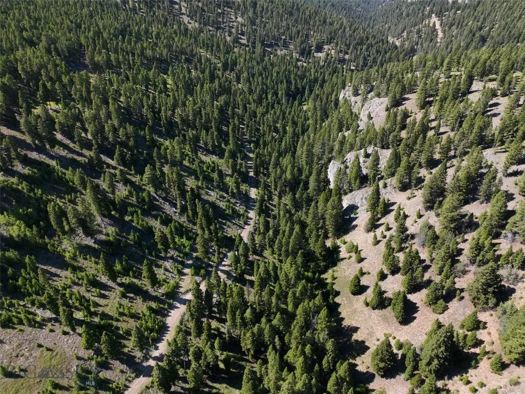 Tbd A Chimney Lakes Road, Helmville, Montana 59843, Helmville, Montana 59843, ,Land,For Sale,Tbd A Chimney Lakes Road, Helmville, Montana 59843,0,405621