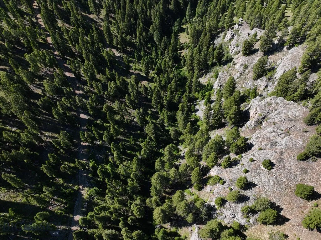Tbd A Chimney Lakes Road, Helmville, Montana 59843, Helmville, Montana 59843, ,Land,For Sale,Tbd A Chimney Lakes Road, Helmville, Montana 59843,0,405621