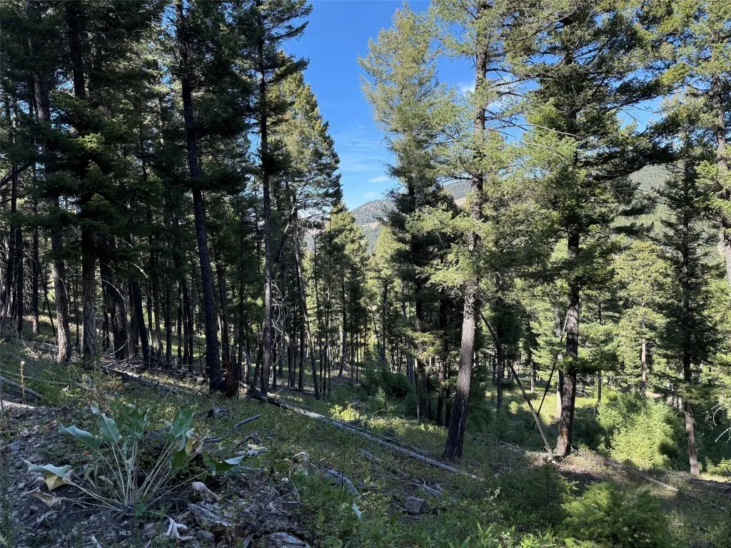 Tbd A Chimney Lakes Road, Helmville, Montana 59843, Helmville, Montana 59843, ,Land,For Sale,Tbd A Chimney Lakes Road, Helmville, Montana 59843,0,405621