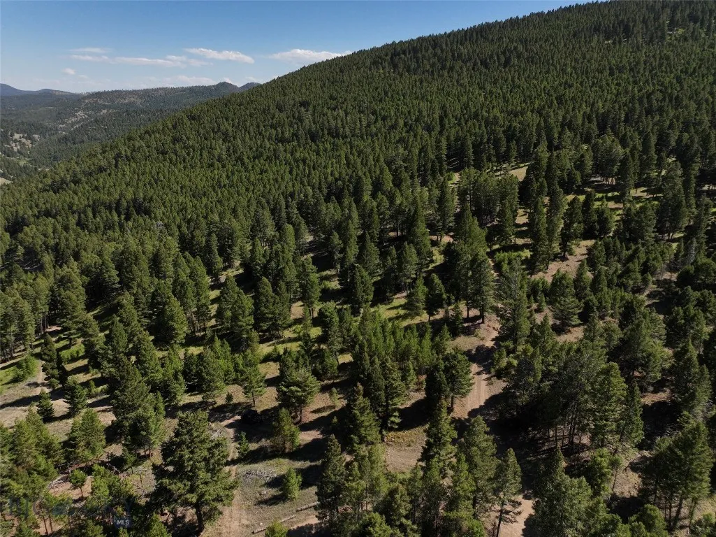 Tbd A Chimney Lakes Road, Helmville, Montana 59843, Helmville, Montana 59843, ,Land,For Sale,Tbd A Chimney Lakes Road, Helmville, Montana 59843,0,405621