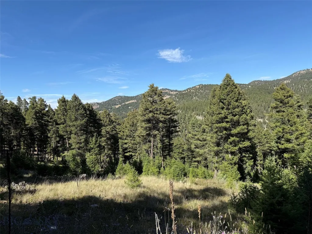 Tbd A Chimney Lakes Road, Helmville, Montana 59843, Helmville, Montana 59843, ,Land,For Sale,Tbd A Chimney Lakes Road, Helmville, Montana 59843,0,405621