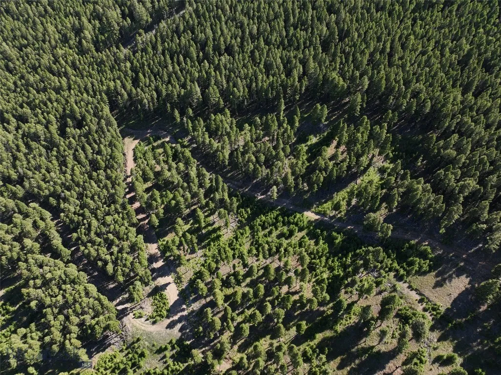 Tbd A Chimney Lakes Road, Helmville, Montana 59843, Helmville, Montana 59843, ,Land,For Sale,Tbd A Chimney Lakes Road, Helmville, Montana 59843,0,405621