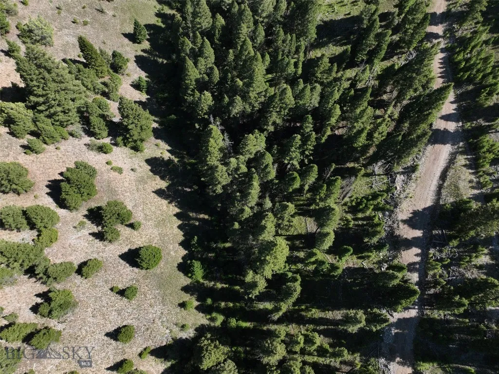 Tbd A Chimney Lakes Road, Helmville, Montana 59843, Helmville, Montana 59843, ,Land,For Sale,Tbd A Chimney Lakes Road, Helmville, Montana 59843,0,405621