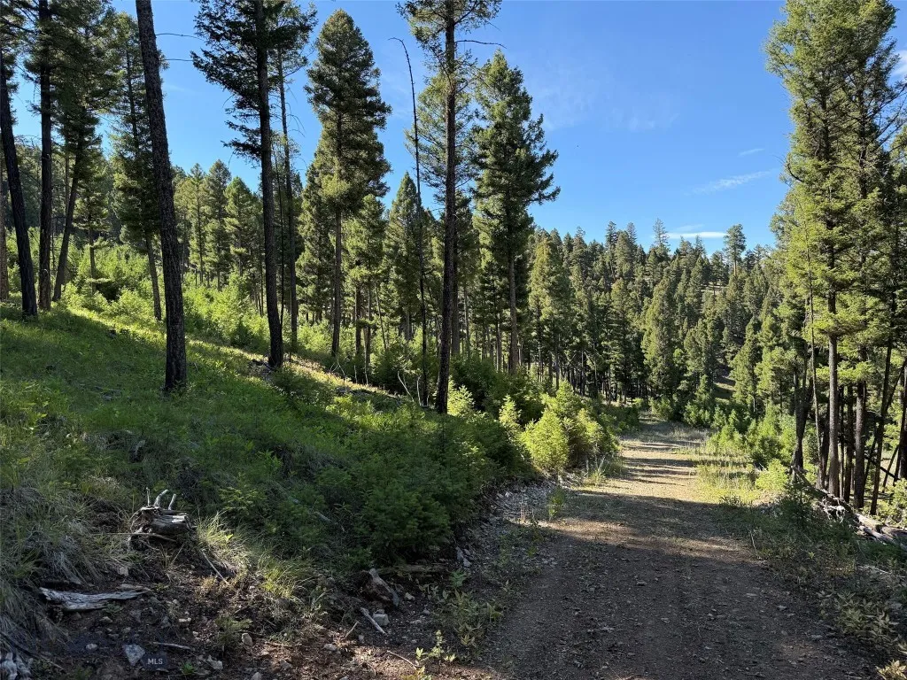 Tbd A Chimney Lakes Road, Helmville, Montana 59843, Helmville, Montana 59843, ,Land,For Sale,Tbd A Chimney Lakes Road, Helmville, Montana 59843,0,405621