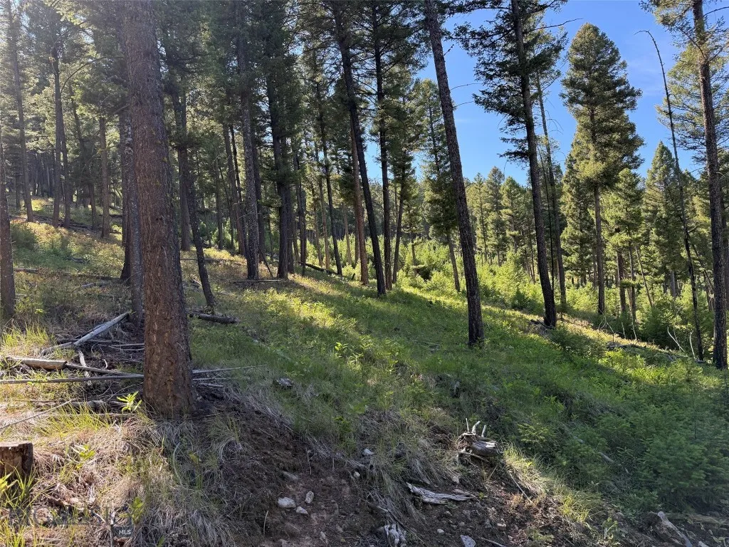 Tbd A Chimney Lakes Road, Helmville, Montana 59843, Helmville, Montana 59843, ,Land,For Sale,Tbd A Chimney Lakes Road, Helmville, Montana 59843,0,405621