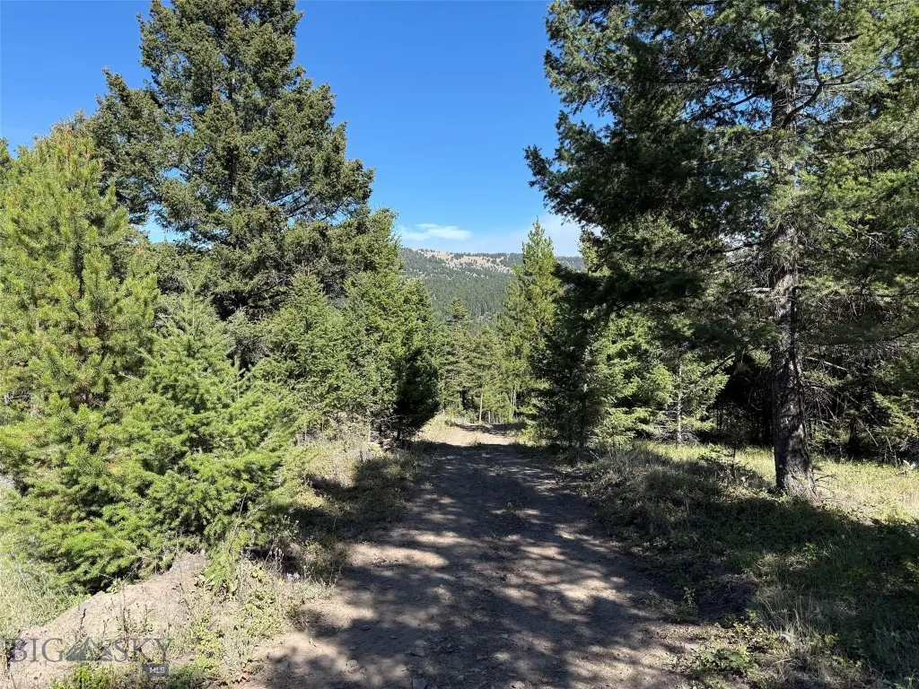 Tbd A Chimney Lakes Road, Helmville, Montana 59843, Helmville, Montana 59843, ,Land,For Sale,Tbd A Chimney Lakes Road, Helmville, Montana 59843,0,405621