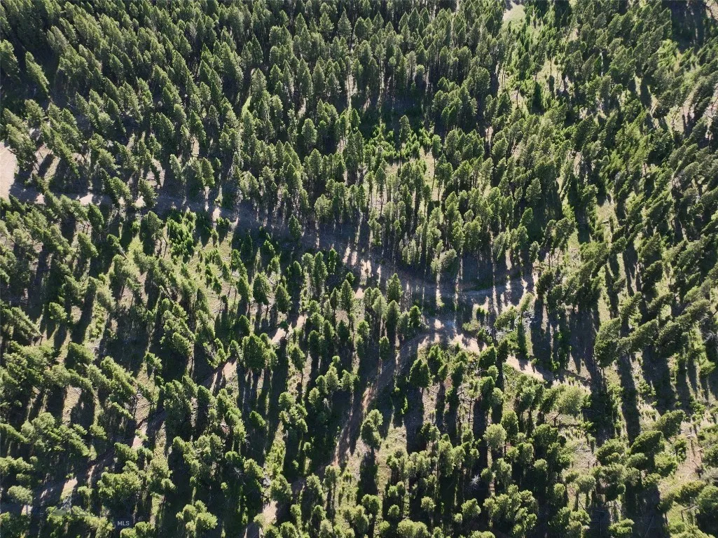 Tbd A Chimney Lakes Road, Helmville, Montana 59843, Helmville, Montana 59843, ,Land,For Sale,Tbd A Chimney Lakes Road, Helmville, Montana 59843,0,405621