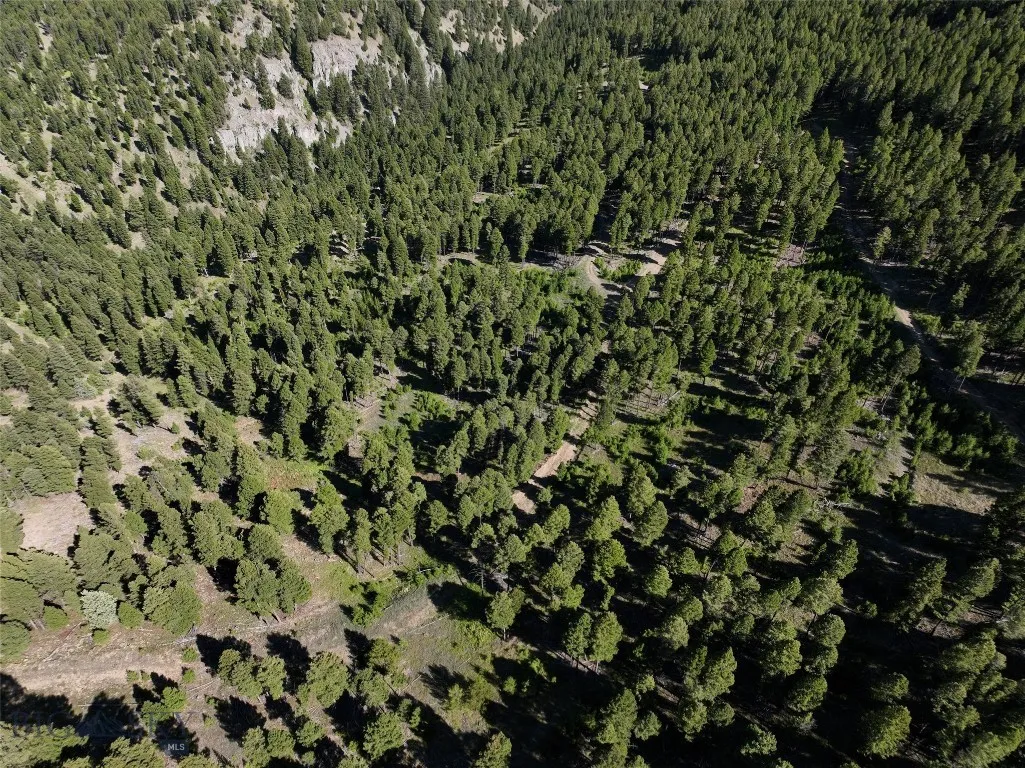 Tbd A Chimney Lakes Road, Helmville, Montana 59843, Helmville, Montana 59843, ,Land,For Sale,Tbd A Chimney Lakes Road, Helmville, Montana 59843,0,405621