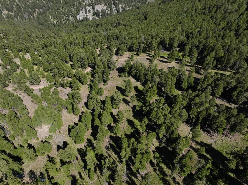 Tbd A Chimney Lakes Road, Helmville, Montana 59843, Helmville, Montana 59843, ,Land,For Sale,Tbd A Chimney Lakes Road, Helmville, Montana 59843,0,405621