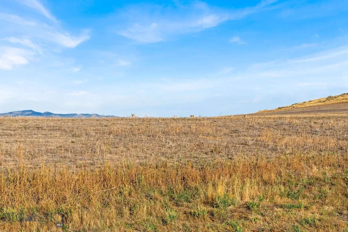 Tbd Rolling Prairie Way, Three Forks, Montana 5975, Three Forks, Montana 59752, ,Land,For Sale,Tbd Rolling Prairie Way, Three Forks, Montana 5975,0,405732
