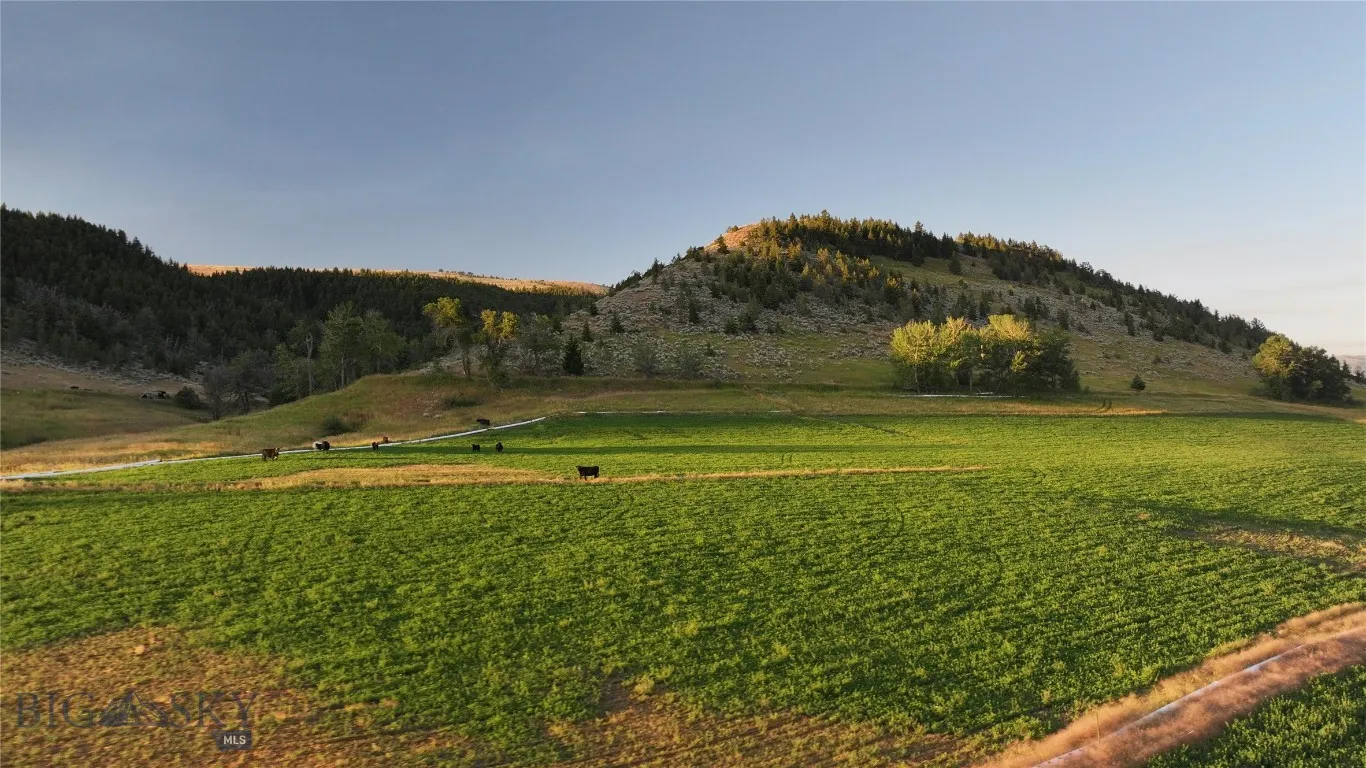Tbd West Boulder Road, Mcleod, Montana 59052, Mcleod, Montana 59052, ,Land,For Sale,Tbd West Boulder Road, Mcleod, Montana 59052,0,405740