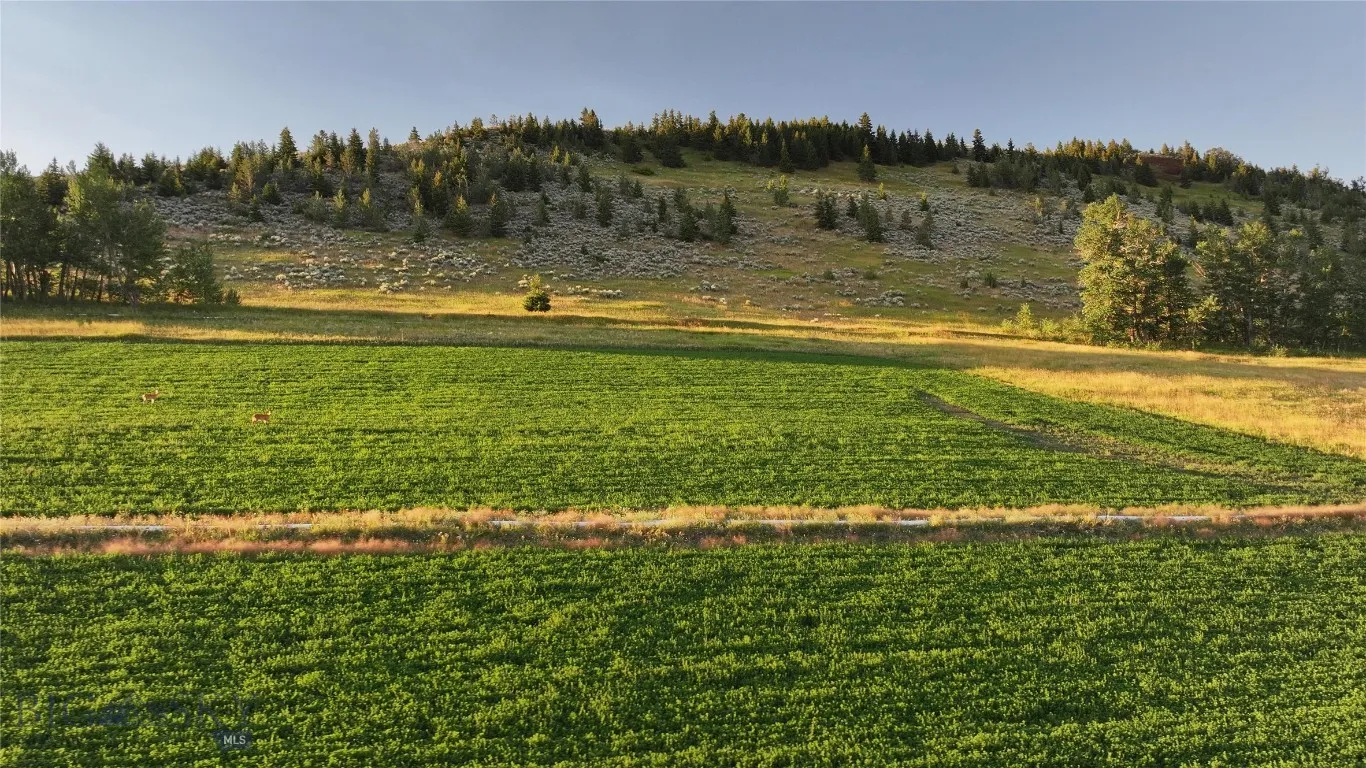 Tbd West Boulder Road, Mcleod, Montana 59052, Mcleod, Montana 59052, ,Land,For Sale,Tbd West Boulder Road, Mcleod, Montana 59052,0,405740