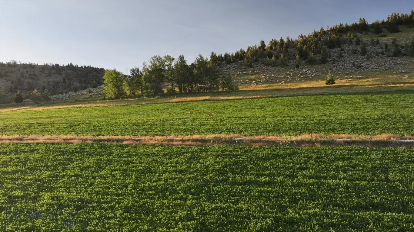 Tbd West Boulder Road, Mcleod, Montana 59052, Mcleod, Montana 59052, ,Land,For Sale,Tbd West Boulder Road, Mcleod, Montana 59052,0,405740