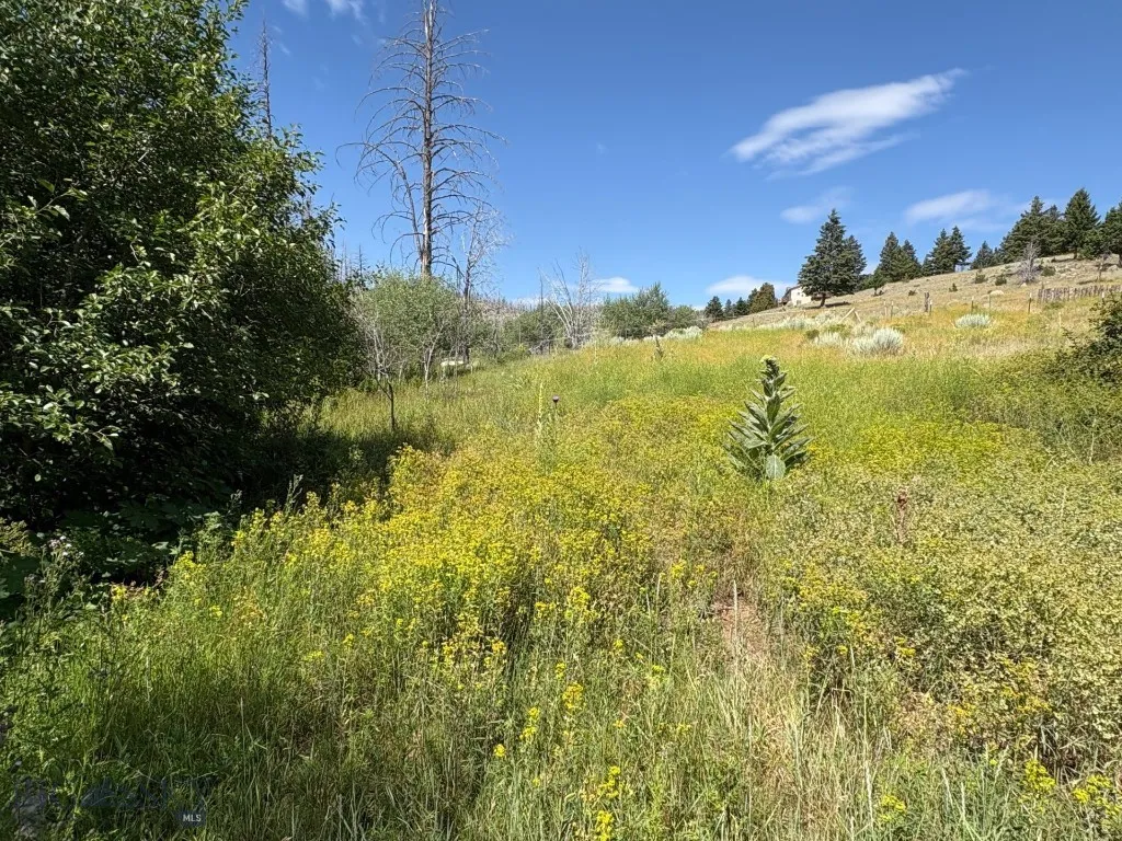 PASTURE