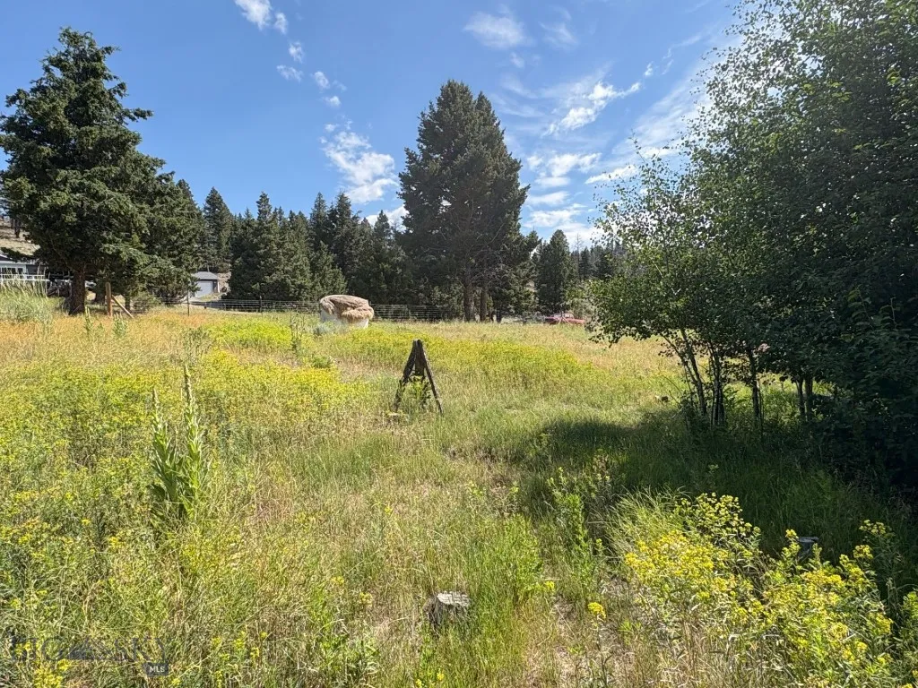 180 Lower Rader Creek Road, Whitehall, Montana 597, Whitehall, Montana 59759, 3 Bedrooms Bedrooms, ,2 BathroomsBathrooms,Residential,For Sale,180 Lower Rader Creek Road, Whitehall, Montana 597,0,405733