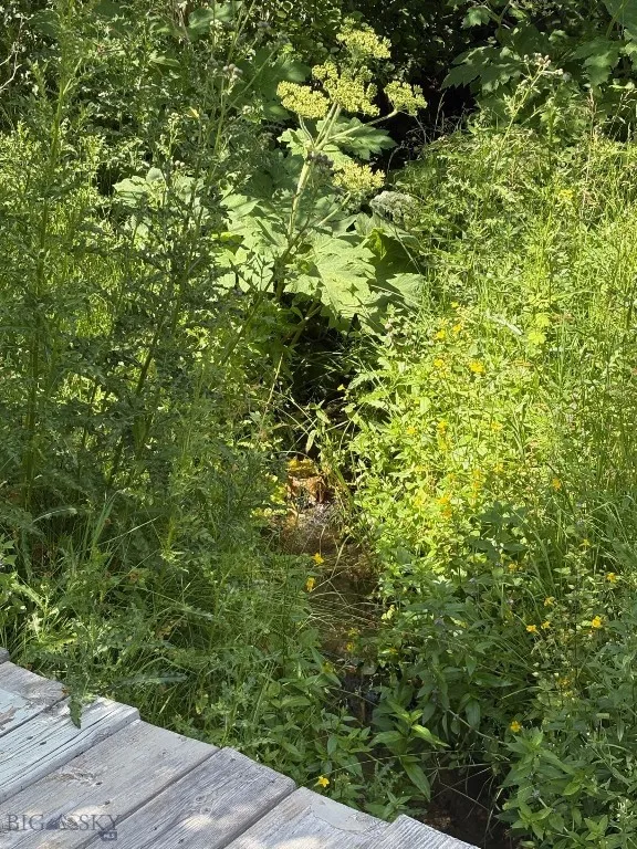 CREEK WITH BRIDGE