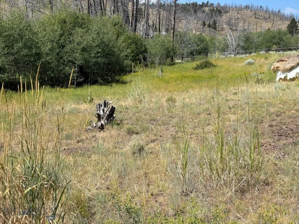 180 Lower Rader Creek Road, Whitehall, Montana 597, Whitehall, Montana 59759, 3 Bedrooms Bedrooms, ,2 BathroomsBathrooms,Residential,For Sale,180 Lower Rader Creek Road, Whitehall, Montana 597,0,405733
