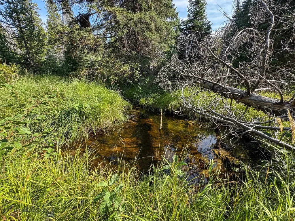 7379 Hahn Creek Road, Elliston, Montana 59728, Elliston, Montana 59728, 3 Bedrooms Bedrooms, ,1 BathroomBathrooms,Residential,For Sale,7379 Hahn Creek Road, Elliston, Montana 59728,0,405741