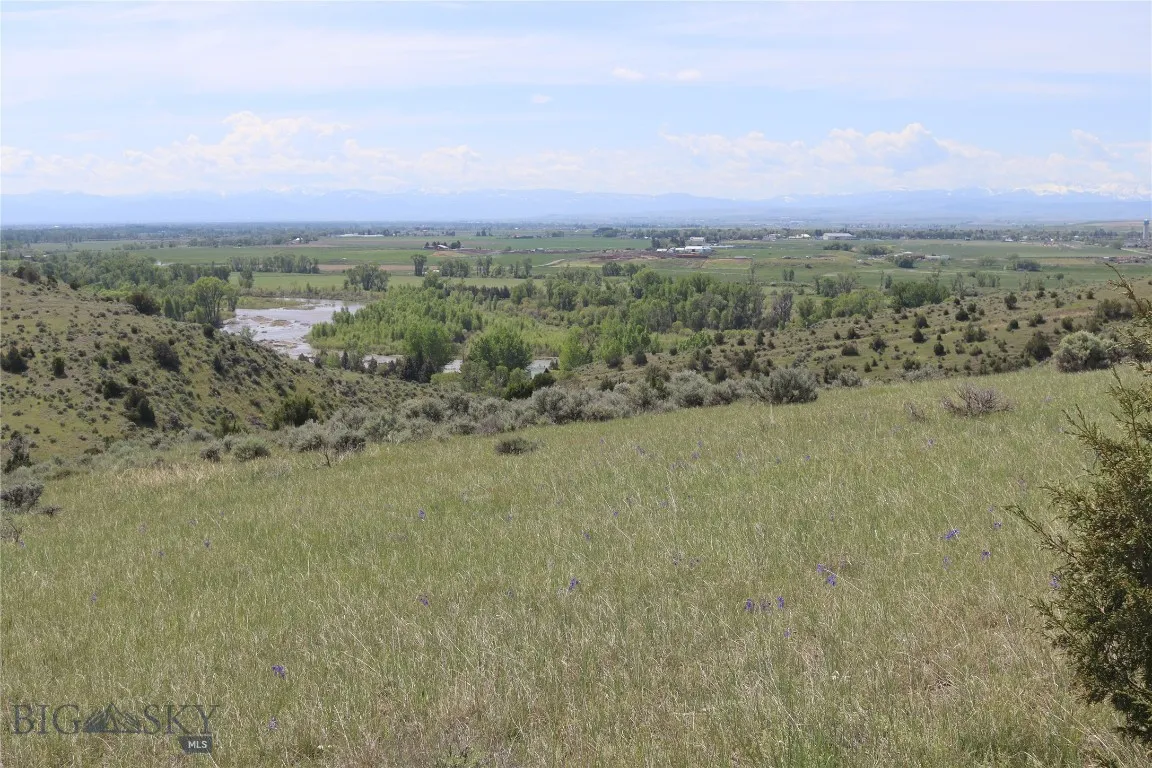 View South from Build Site