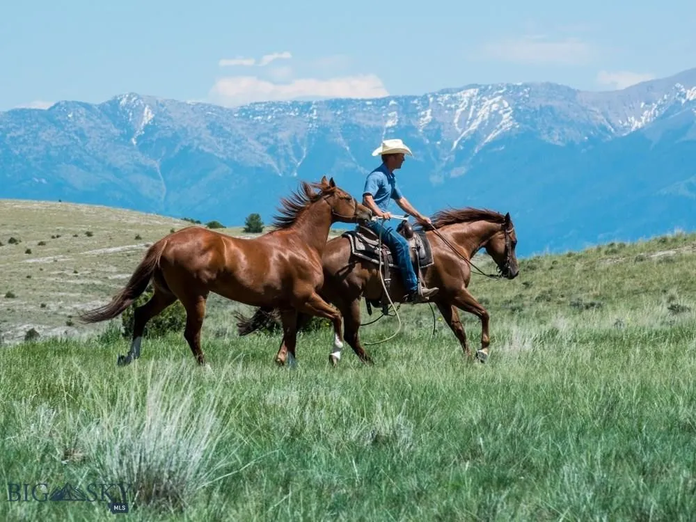 Horses Welcome!