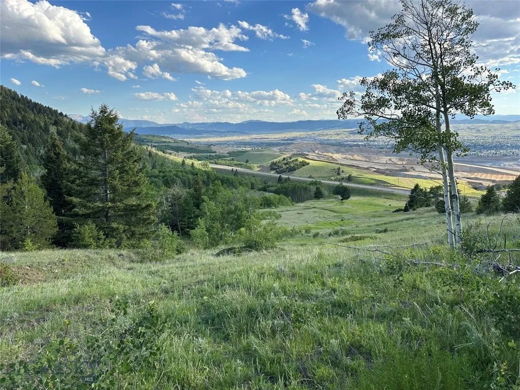 Tbd Xl Heights Road, Butte, Montana 59701, Butte, Montana 59701, ,Land,For Sale,Tbd Xl Heights Road, Butte, Montana 59701,0,405559