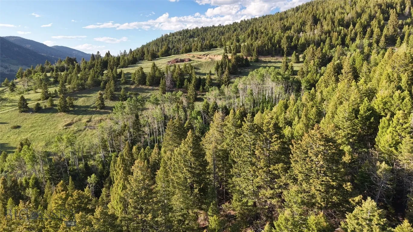 Tbd Xl Heights Road, Butte, Montana 59701, Butte, Montana 59701, ,Land,For Sale,Tbd Xl Heights Road, Butte, Montana 59701,0,405558