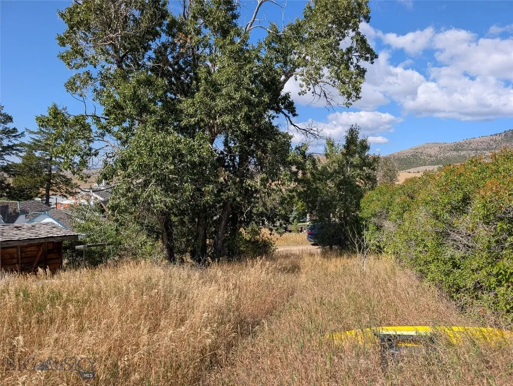 Tbd E Warren Street, Virginia City, Montana 59755, Virginia City, Montana 59755, ,Land,For Sale,Tbd E Warren Street, Virginia City, Montana 59755,0,405914
