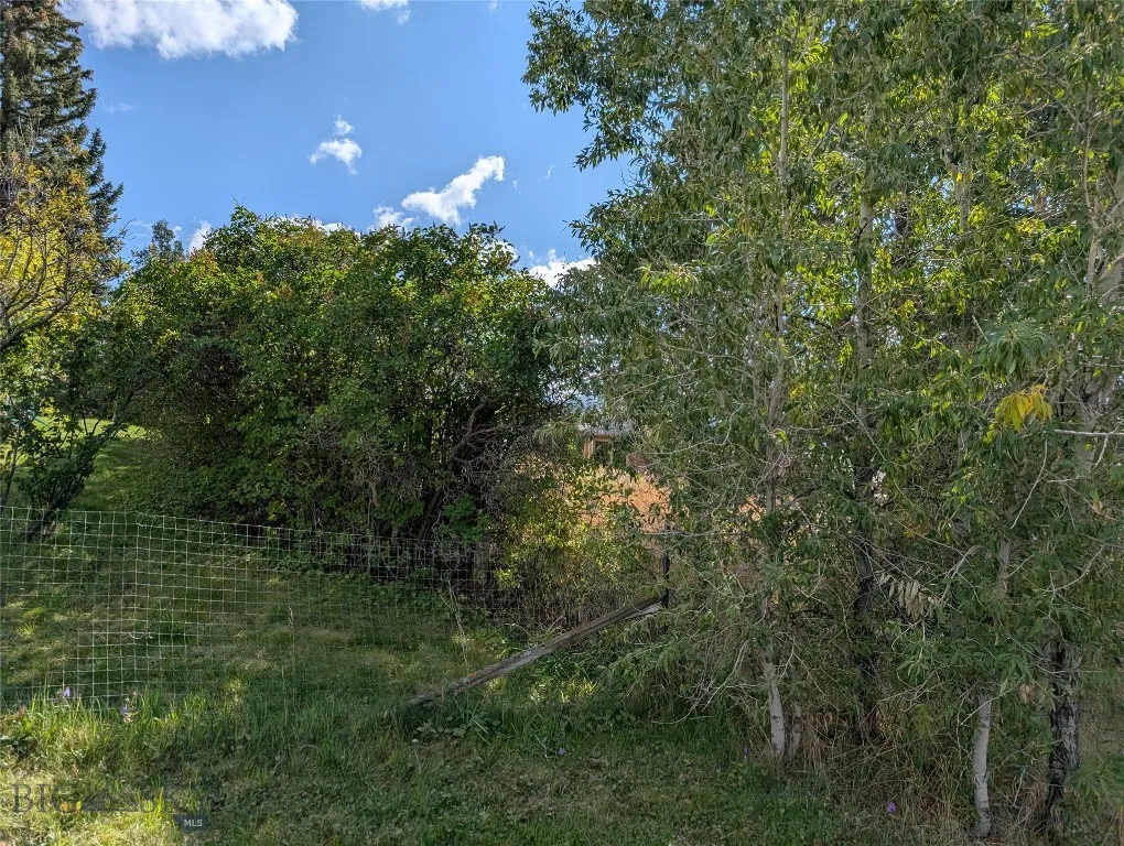 Trees on northern side of property add privacy