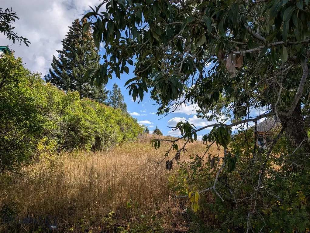 Tbd E Warren Street, Virginia City, Montana 59755, Virginia City, Montana 59755, ,Land,For Sale,Tbd E Warren Street, Virginia City, Montana 59755,0,405914
