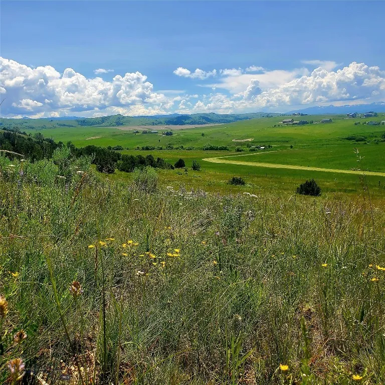 478 Pacer Landing, Manhattan, Montana 59741, Manhattan, Montana 59741, ,Land,For Sale,478 Pacer Landing, Manhattan, Montana 59741,0,405873