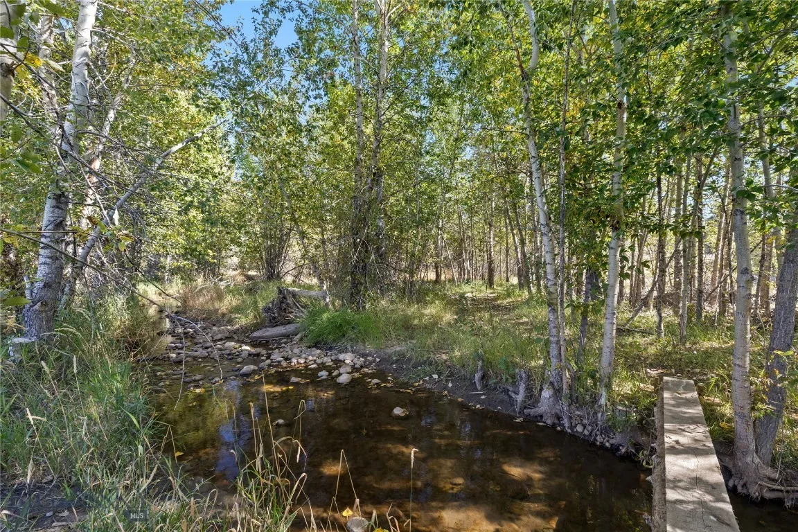 Stream from river near house