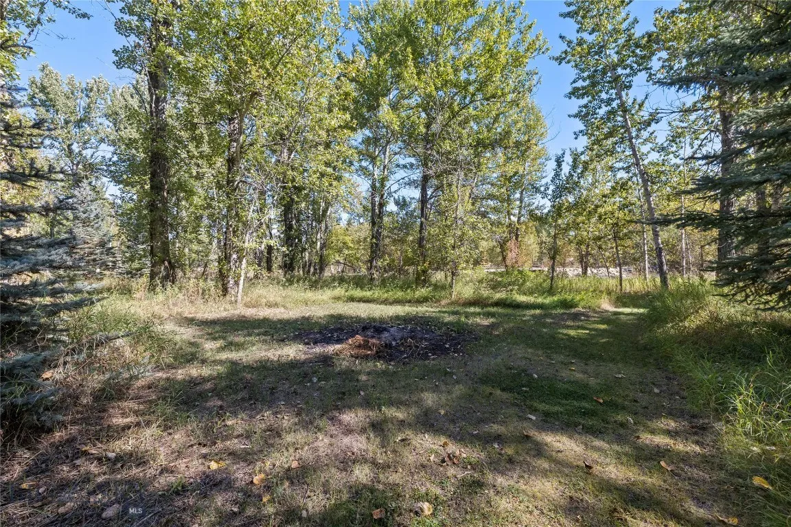Bonfire spot down by river