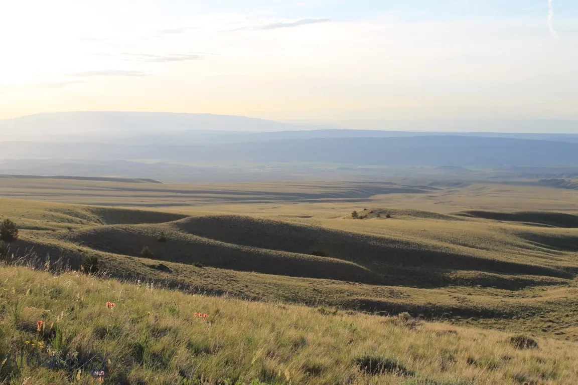 947-7 Freedom, Belfry, Montana 59008, Belfry, Montana 59008, ,Land,For Sale,947-7 Freedom, Belfry, Montana 59008,0,405987