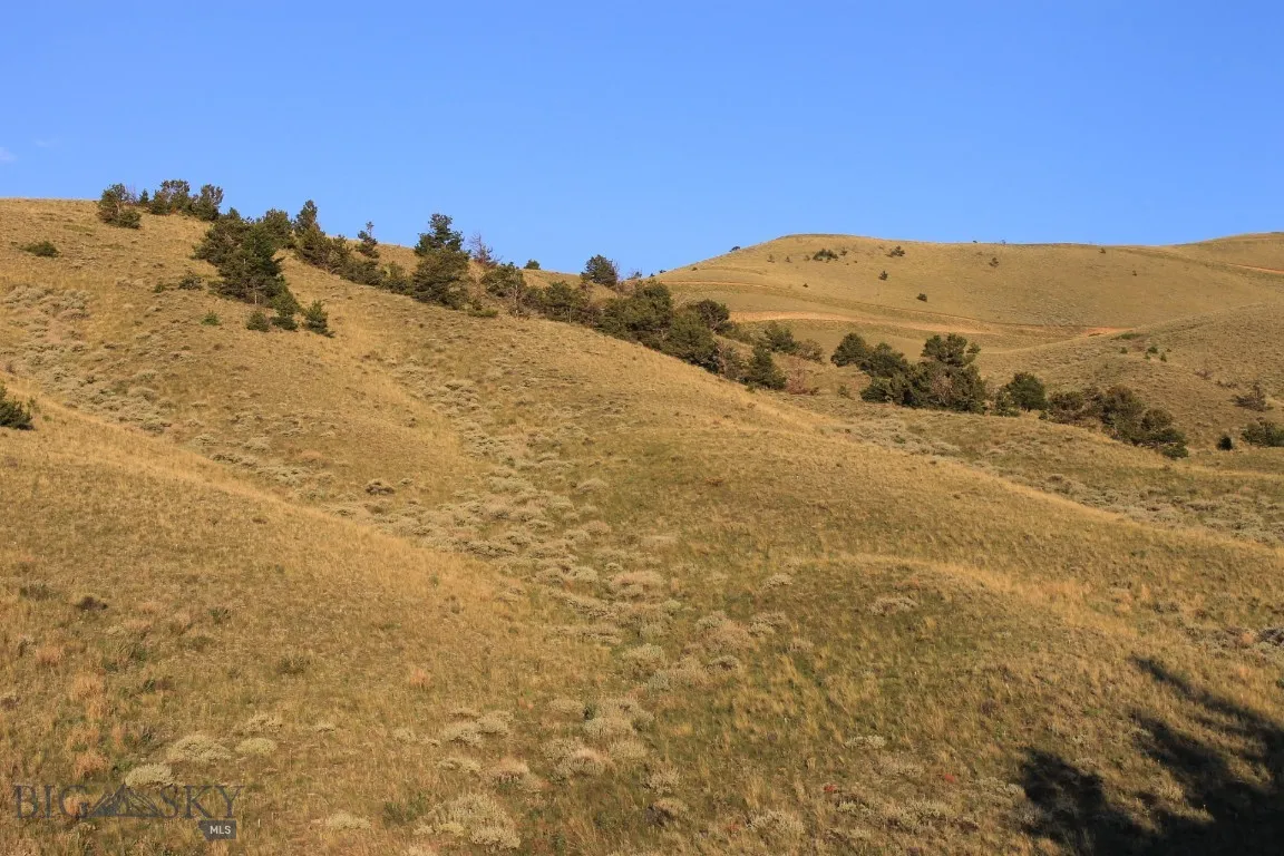 947-7 Freedom, Belfry, Montana 59008, Belfry, Montana 59008, ,Land,For Sale,947-7 Freedom, Belfry, Montana 59008,0,405987