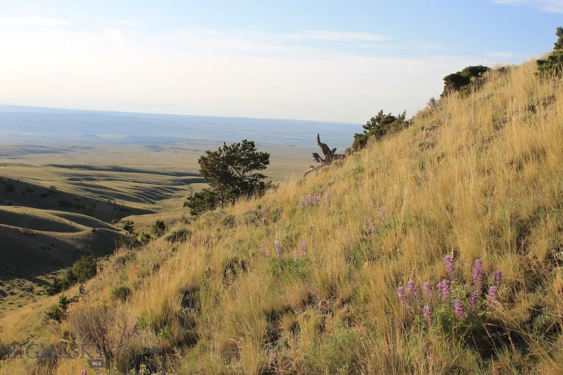 947-7 Freedom, Belfry, Montana 59008, Belfry, Montana 59008, ,Land,For Sale,947-7 Freedom, Belfry, Montana 59008,0,405987