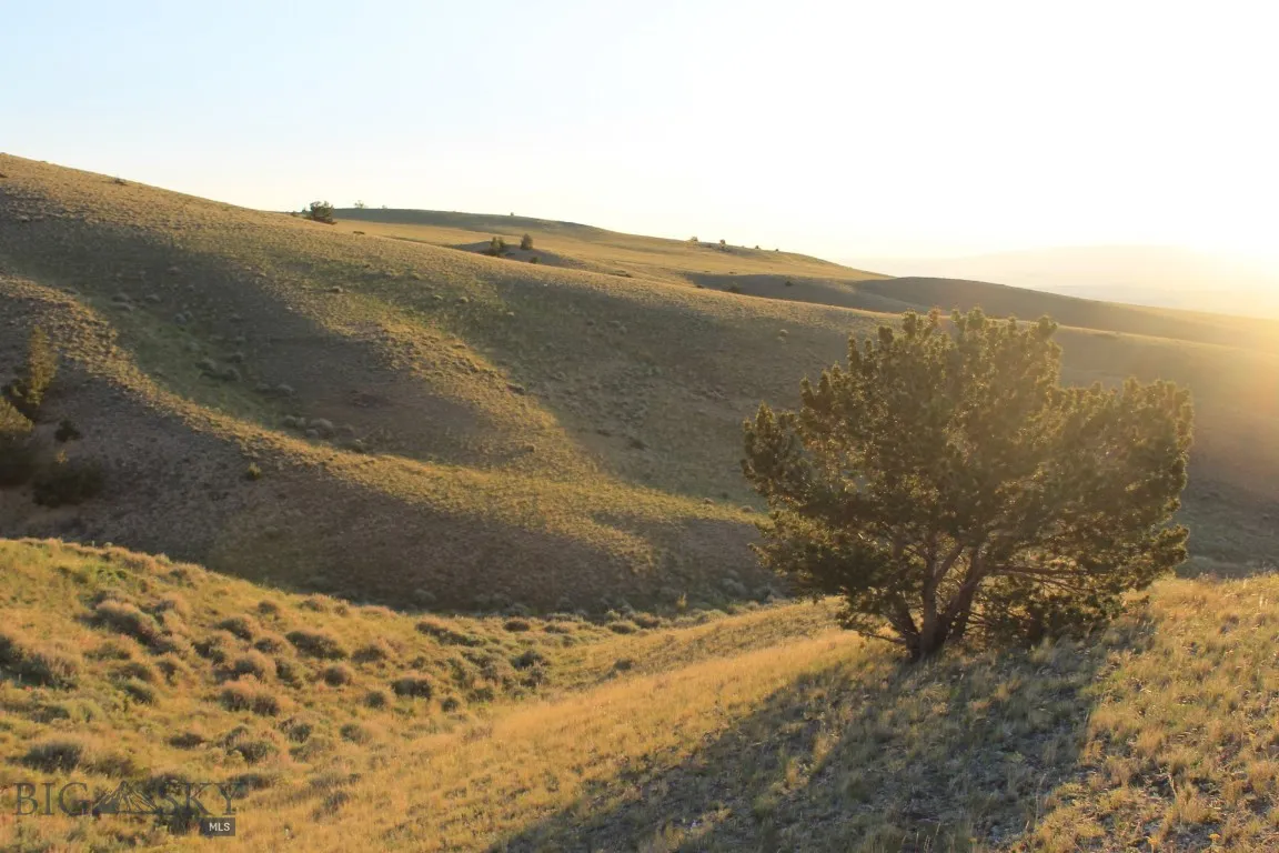 947-7 Freedom, Belfry, Montana 59008, Belfry, Montana 59008, ,Land,For Sale,947-7 Freedom, Belfry, Montana 59008,0,405987