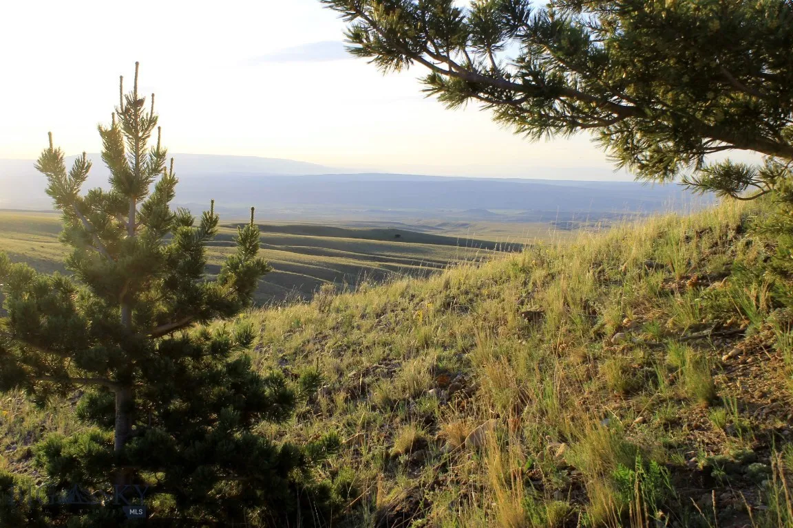 947-7 Freedom, Belfry, Montana 59008, Belfry, Montana 59008, ,Land,For Sale,947-7 Freedom, Belfry, Montana 59008,0,405987