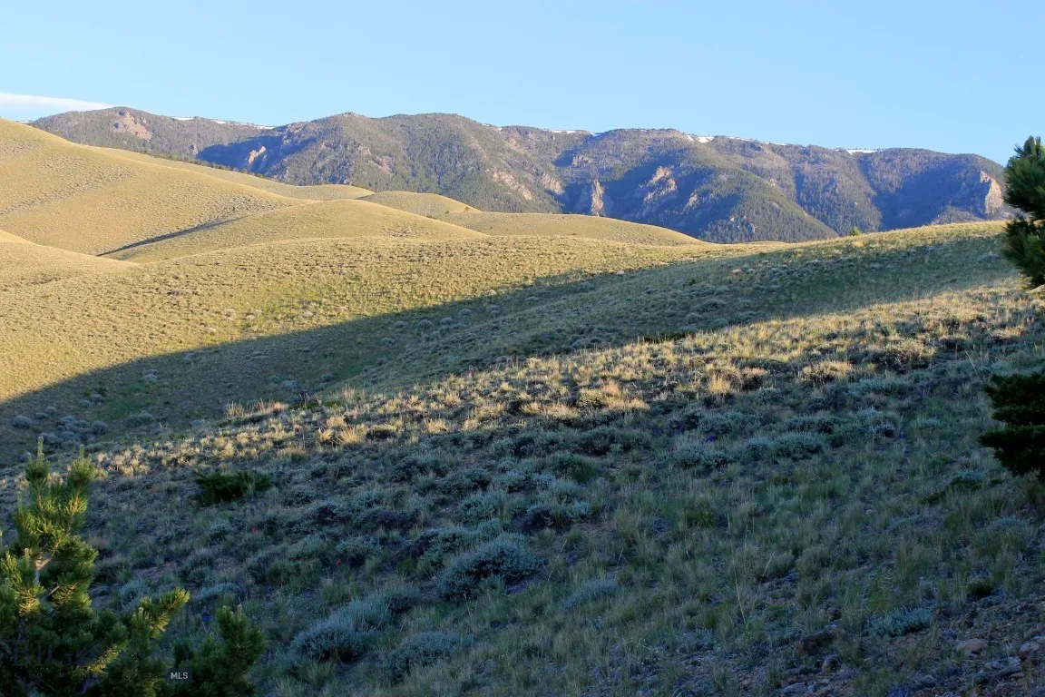 947-7 Freedom, Belfry, Montana 59008, Belfry, Montana 59008, ,Land,For Sale,947-7 Freedom, Belfry, Montana 59008,0,405987