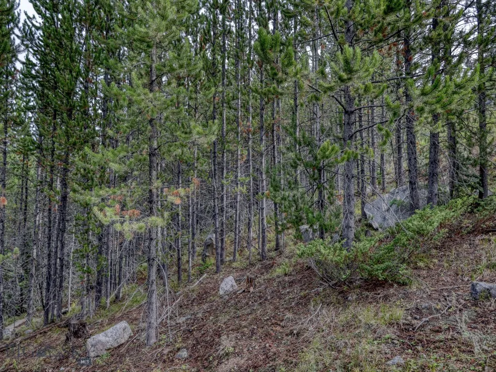 89 Summit, Big Sky, Montana 59716, Big Sky, Montana 59716, ,Land,For Sale,89 Summit, Big Sky, Montana 59716,0,405824