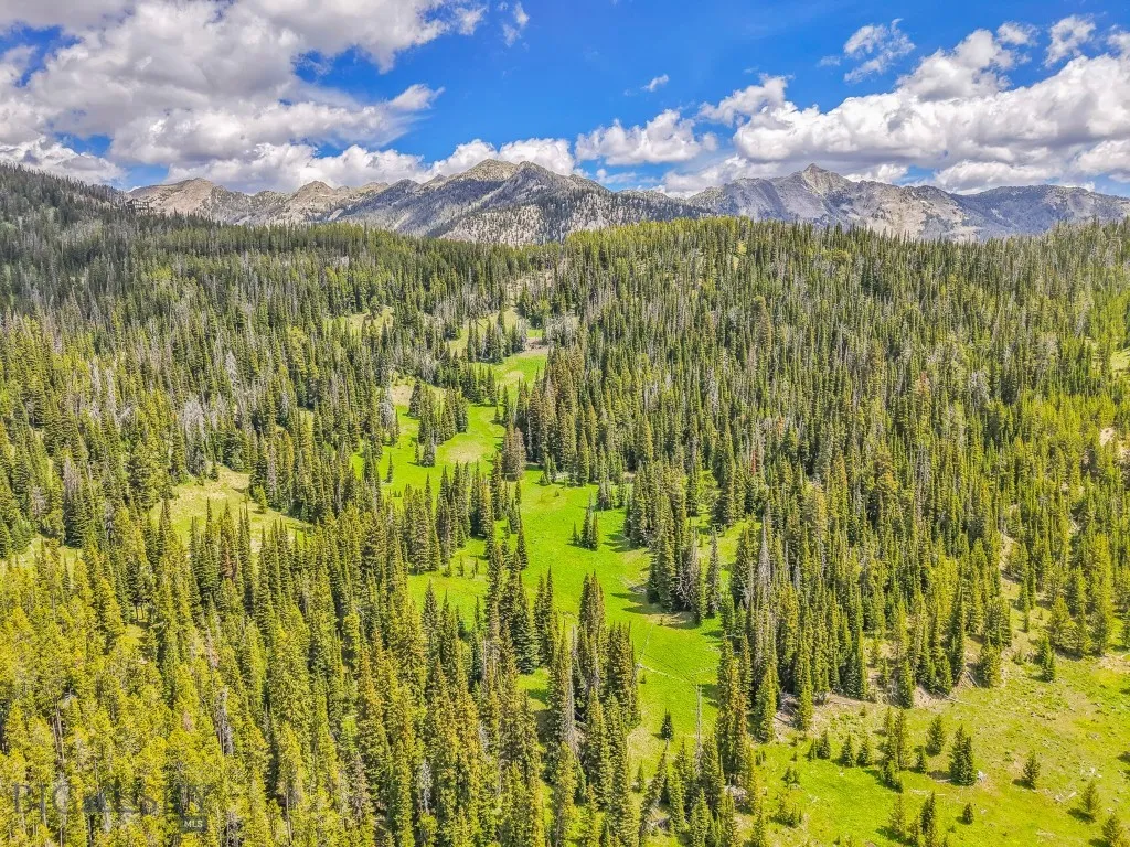 Nhn Beehive Basin Road, Big Sky, Montana 59730, Big Sky, Montana 59730, ,Land,For Sale,Nhn Beehive Basin Road, Big Sky, Montana 59730,0,402001