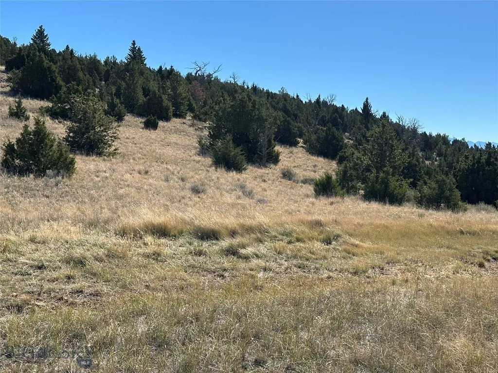 Treed parcel across the road