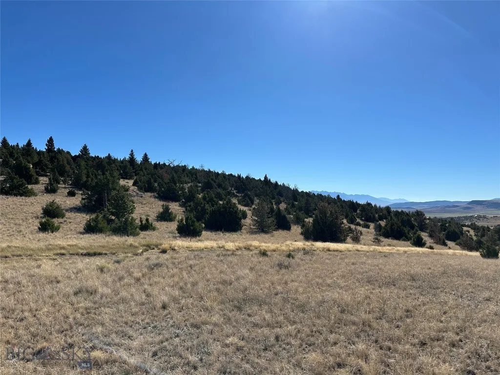 Looking east from north boundary
