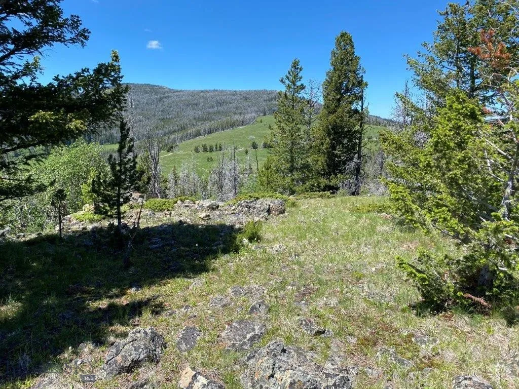 Tbd Indian Creek Road, Townsend, Montana 59604, Townsend, Montana 59604, ,Land,For Sale,Tbd Indian Creek Road, Townsend, Montana 59604,0,406164
