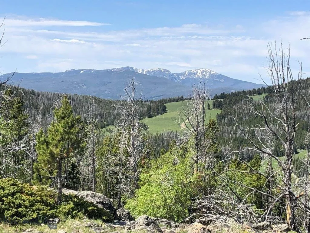 Tbd Indian Creek Road, Townsend, Montana 59604, Townsend, Montana 59604, ,Land,For Sale,Tbd Indian Creek Road, Townsend, Montana 59604,0,406164